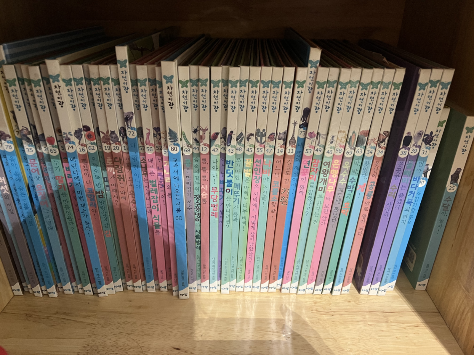 [팝니다] 도서 - 자연이랑 시리즈 나눔
